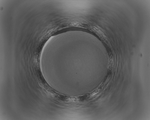 X0000087360415200705181156