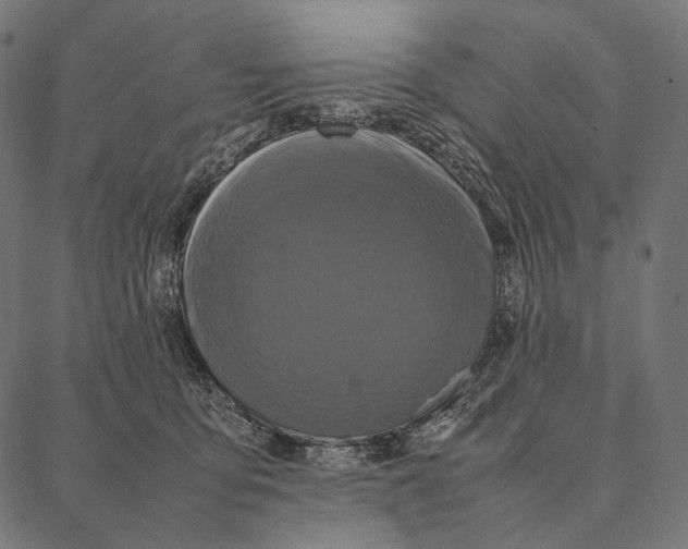 X0000087360419200705181156