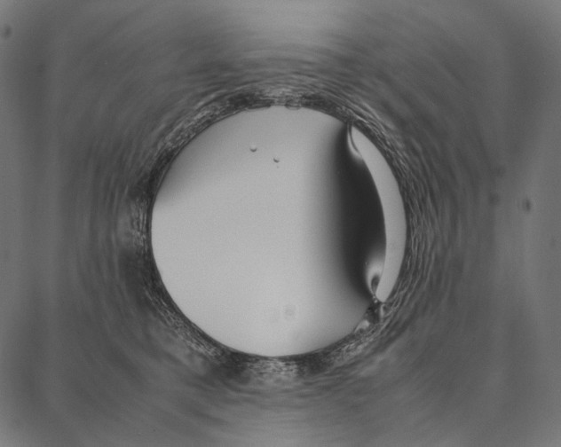 X0000087360421200705181156