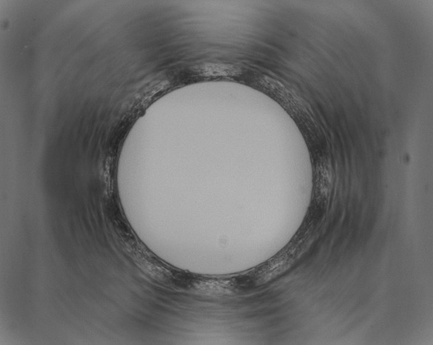 X0000087360422200705181156