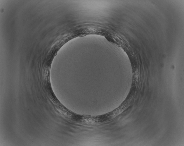 X0000087360423200705181156