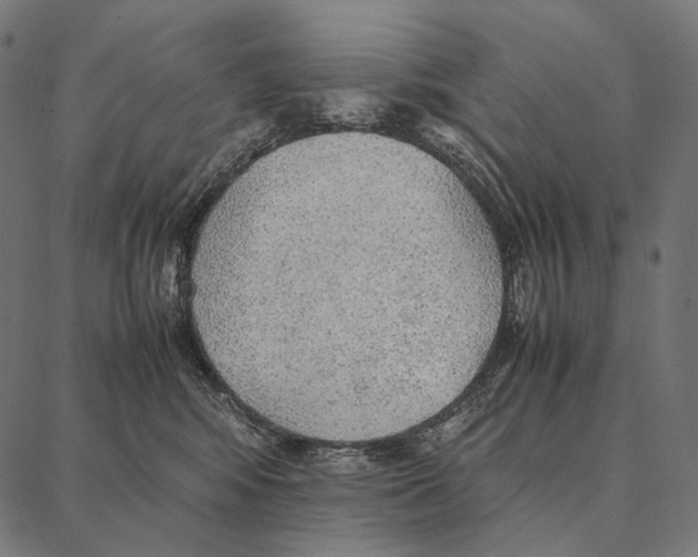 X0000087360424200705181156