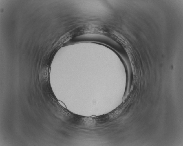 X0000087360425200705181156