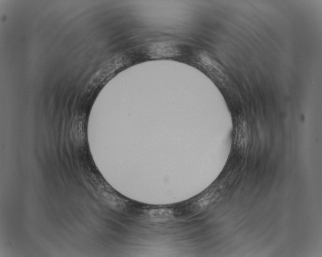 X0000087360426200705181156