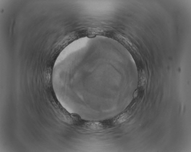 X0000087360427200705181156