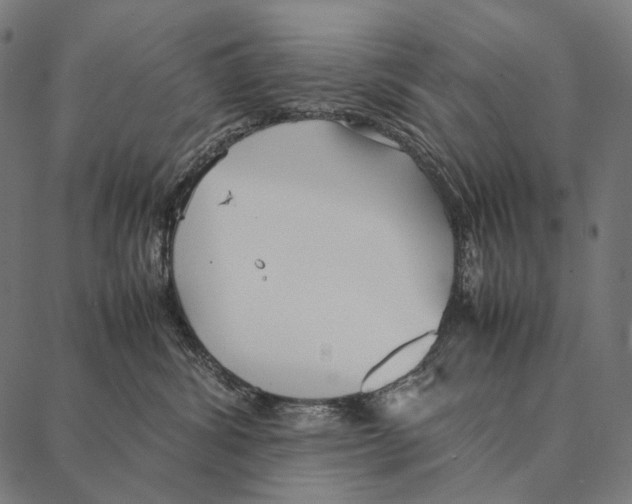 X0000087360428200705181156