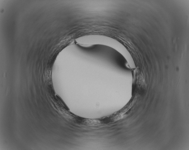 X0000087360429200705181156