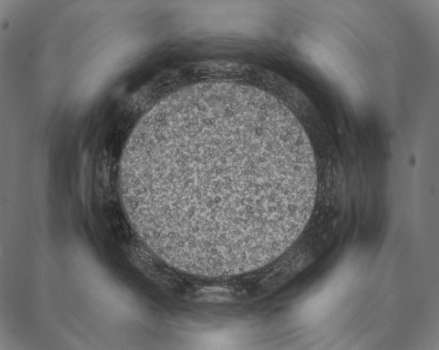 X0000087360430200705181156