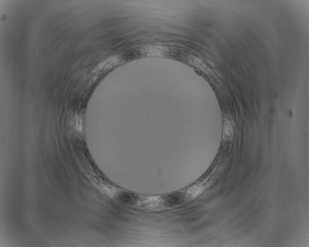 X0000087360431200705181156