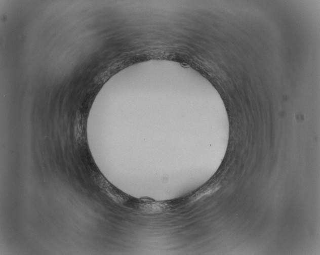 X0000087360432200705181156