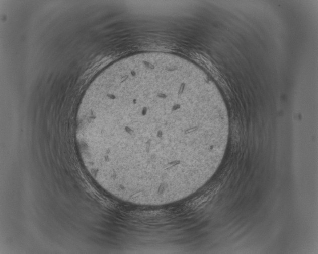 X0000087360433200705181155