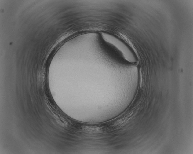 X0000087360435200705181155