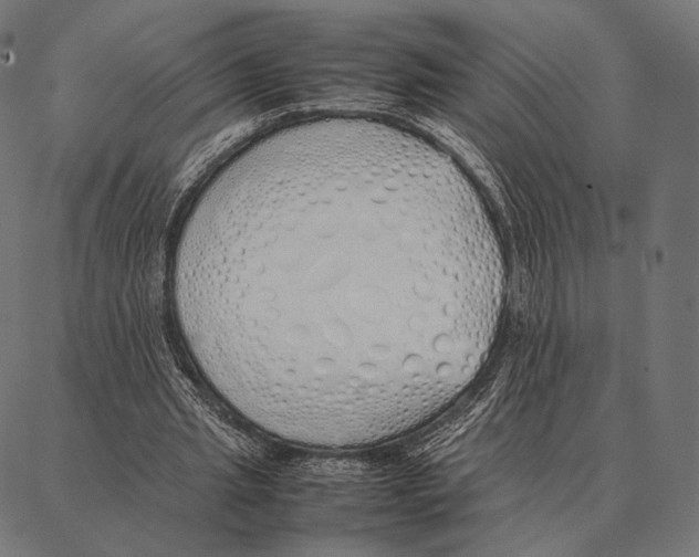 X0000087360437200705181155