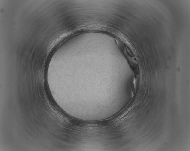 X0000087360438200705181155