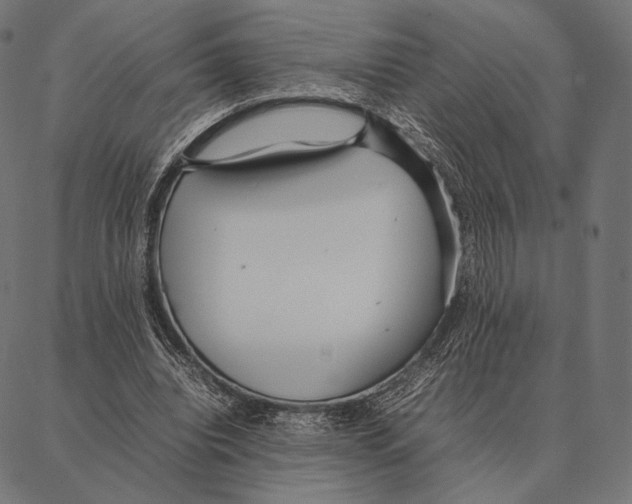 X0000087360440200705181155