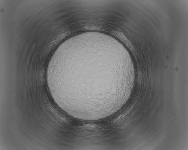 X0000087360441200705181155