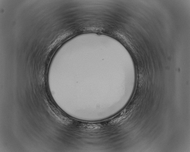 X0000087360443200705181155