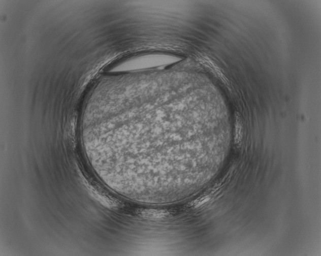 X0000087360444200705181155