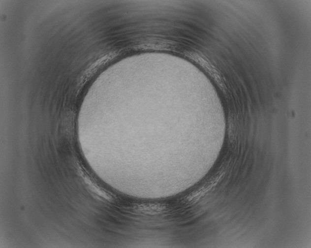 X0000087360445200705181155