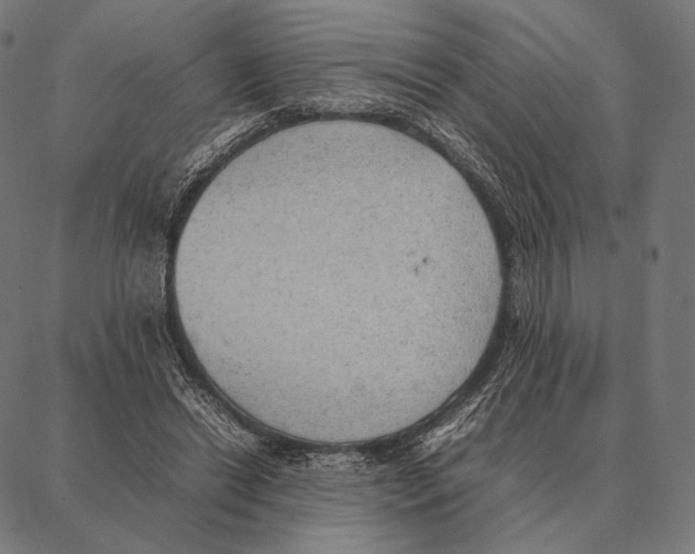 X0000087360446200705181155