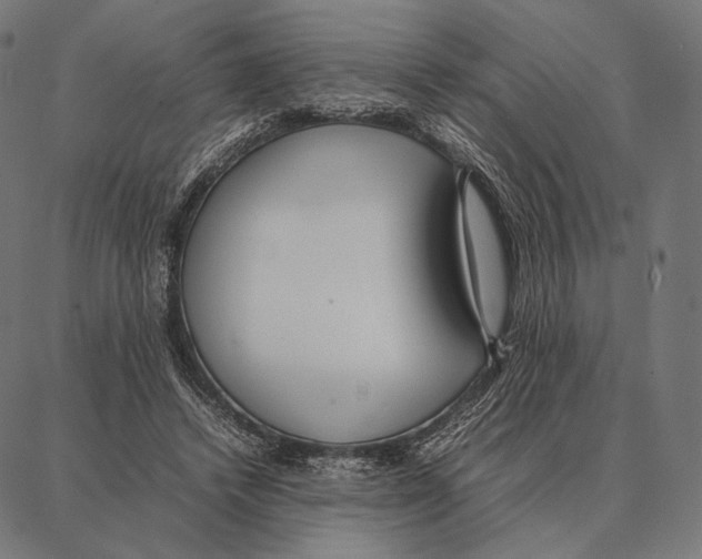 X0000087360448200705181155