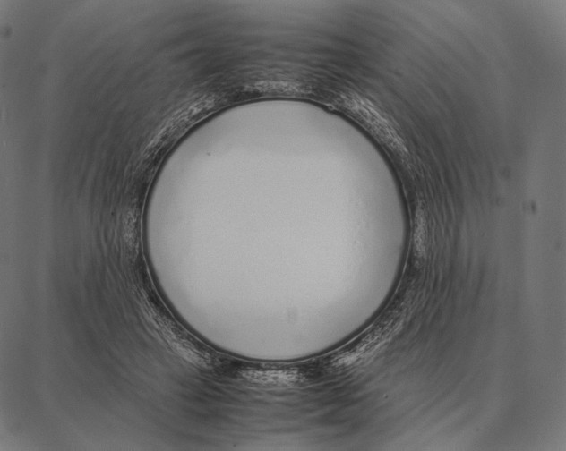 X0000087360449200705181155