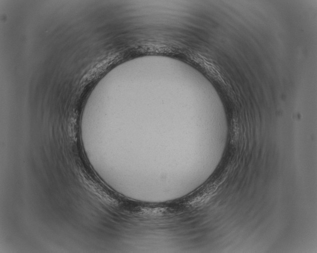 X0000087360450200705181155