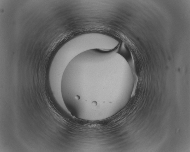 X0000087360452200705181156