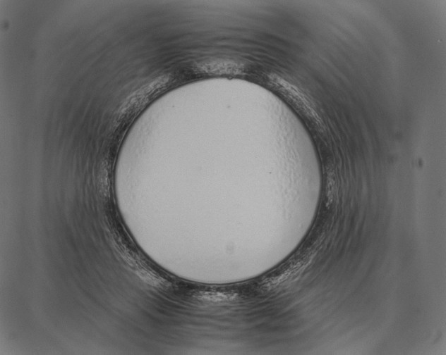 X0000087360453200705181156