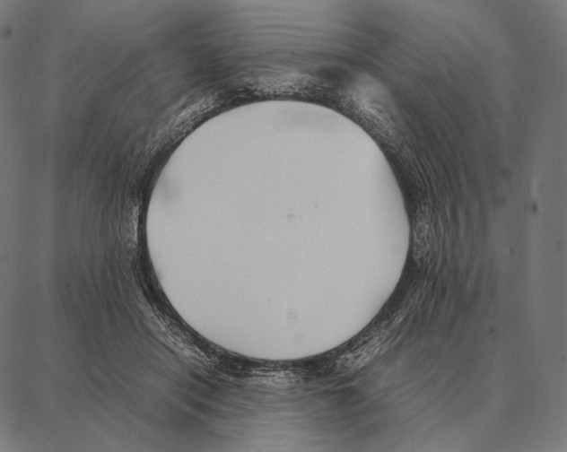 X0000087360454200705181156