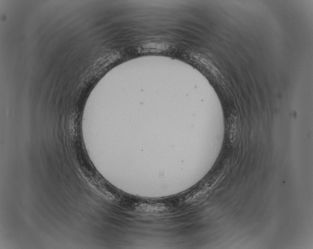 X0000087360455200705181156