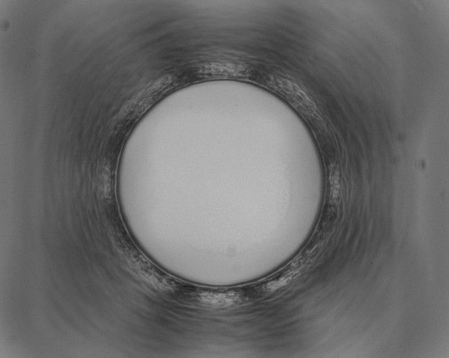 X0000087360457200705181156