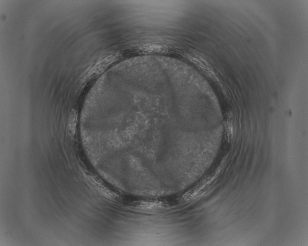 X0000087360458200705181156