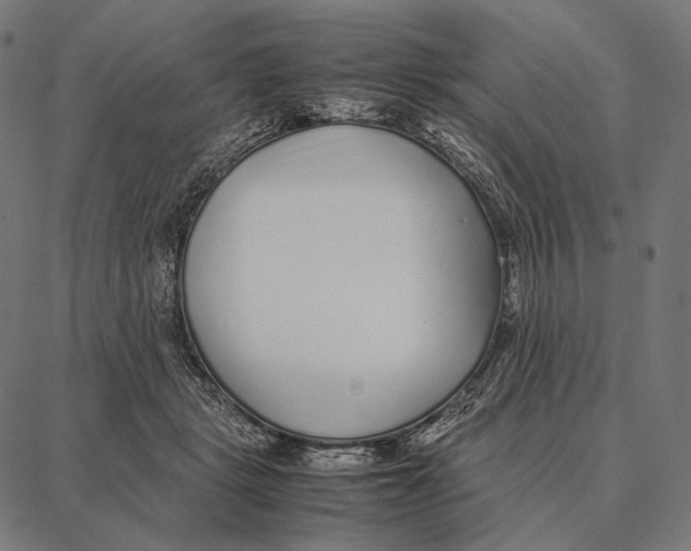 X0000087360461200705181156