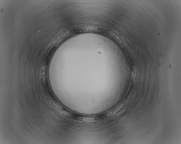 X0000087360462200705181156