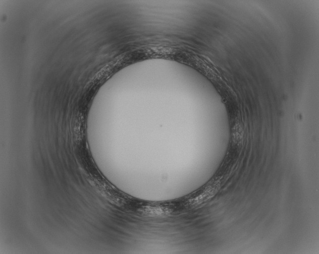 X0000087360464200705181156