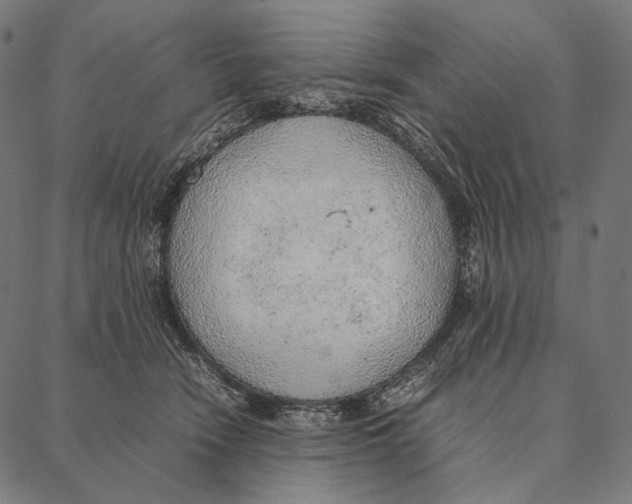 X0000087360466200705181156