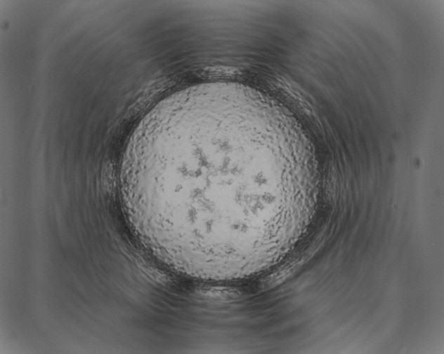 X0000087360467200705181156