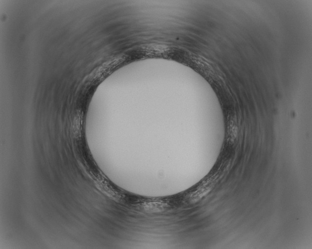 X0000087360468200705181156