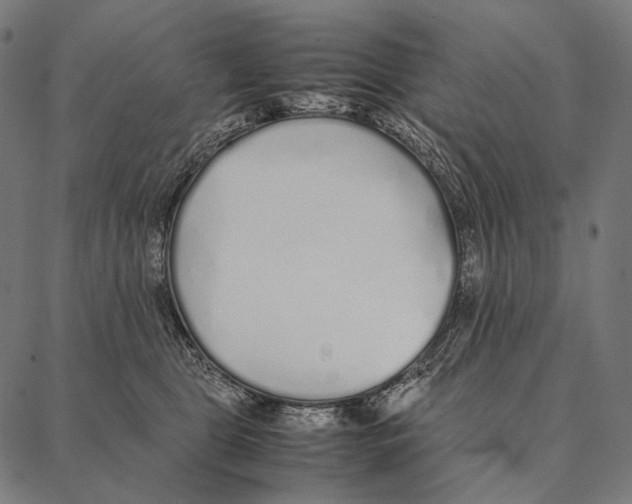 X0000087360469200705181156