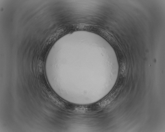 X0000087360470200705181156