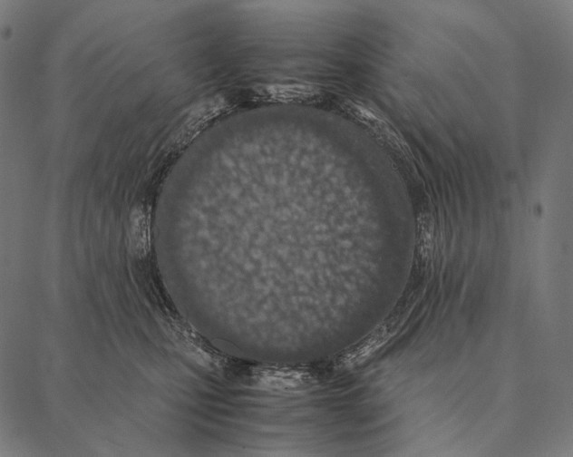 X0000087360471200705181156