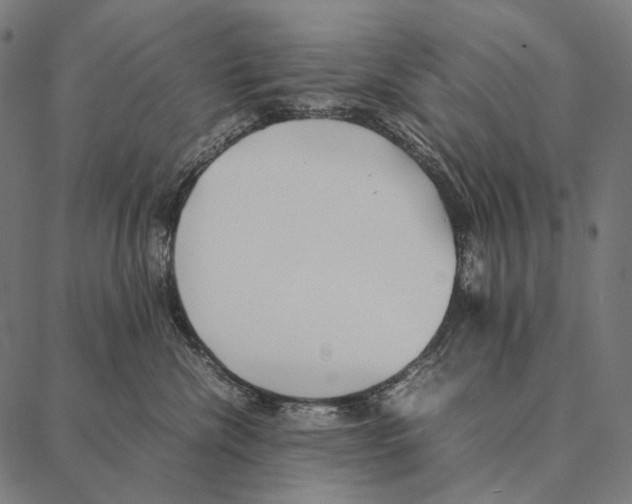 X0000087360476200705181156