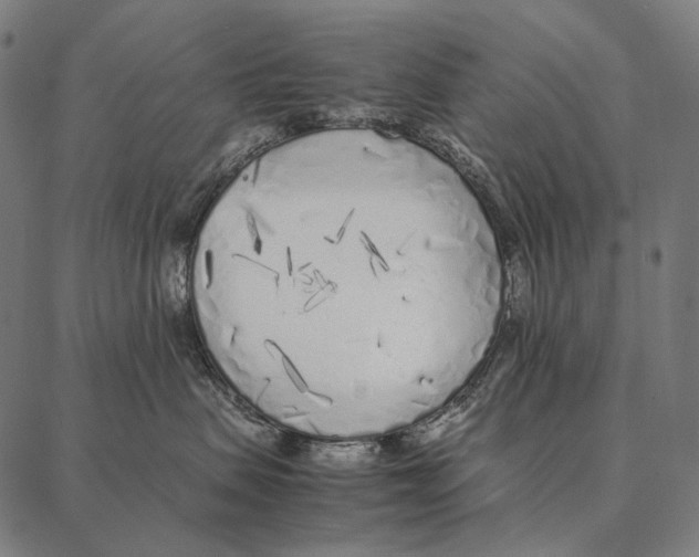 X0000087360479200705181156