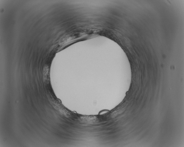 X0000087360480200705181156