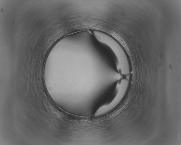 X0000087360481200705181155