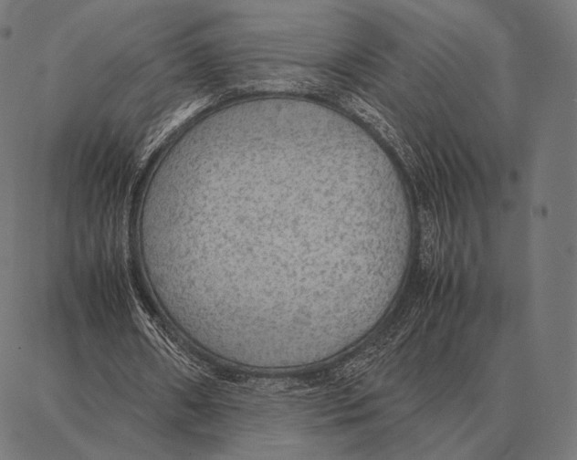 X0000087360482200705181155