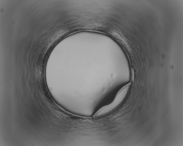 X0000087360483200705181155