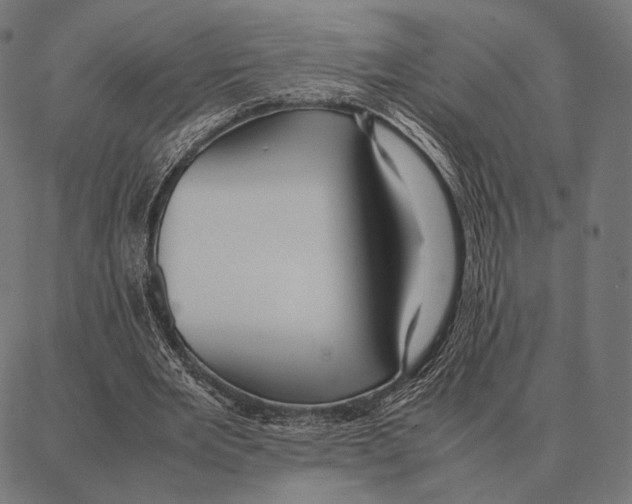 X0000087360485200705181155