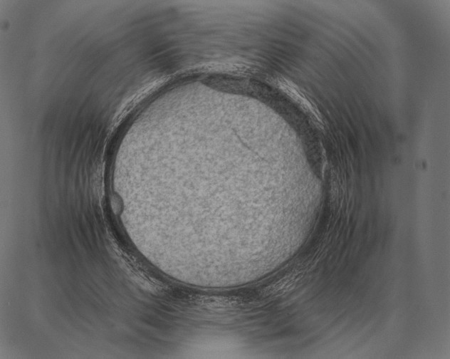 X0000087360486200705181155